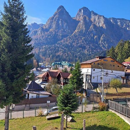 PANORAMIC Buşteni Exterior foto
