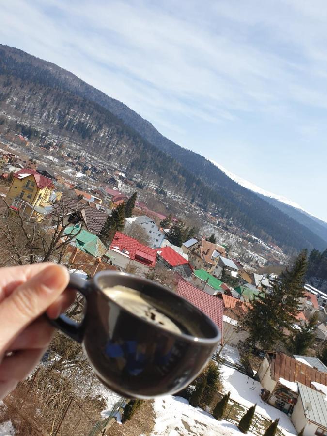 PANORAMIC Buşteni Exterior foto