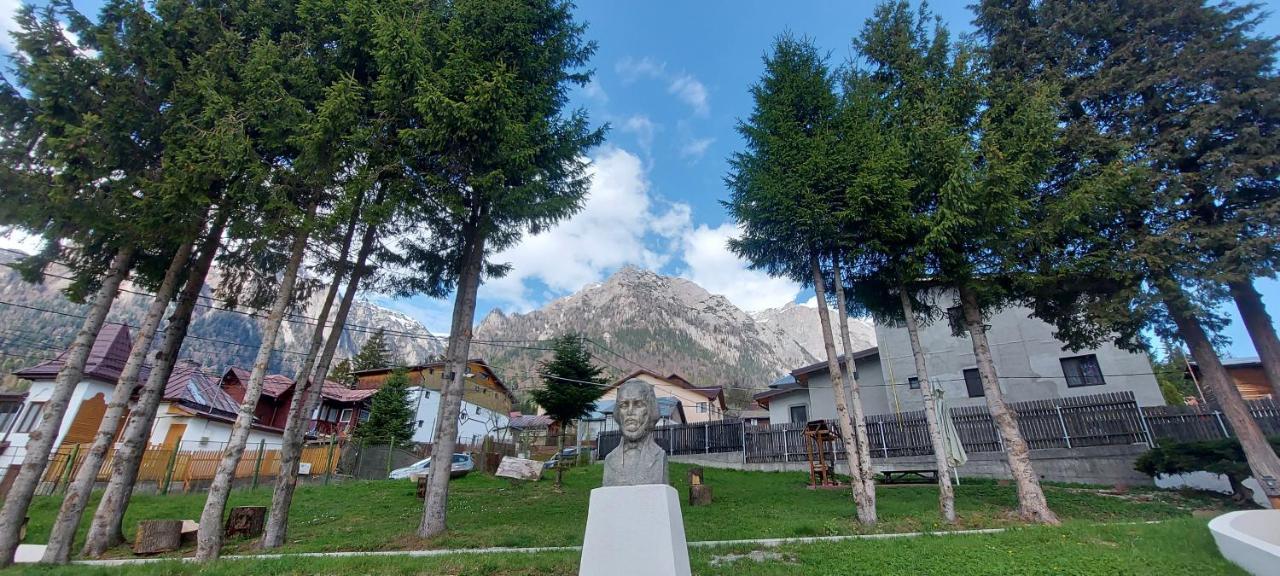 PANORAMIC Buşteni Exterior foto
