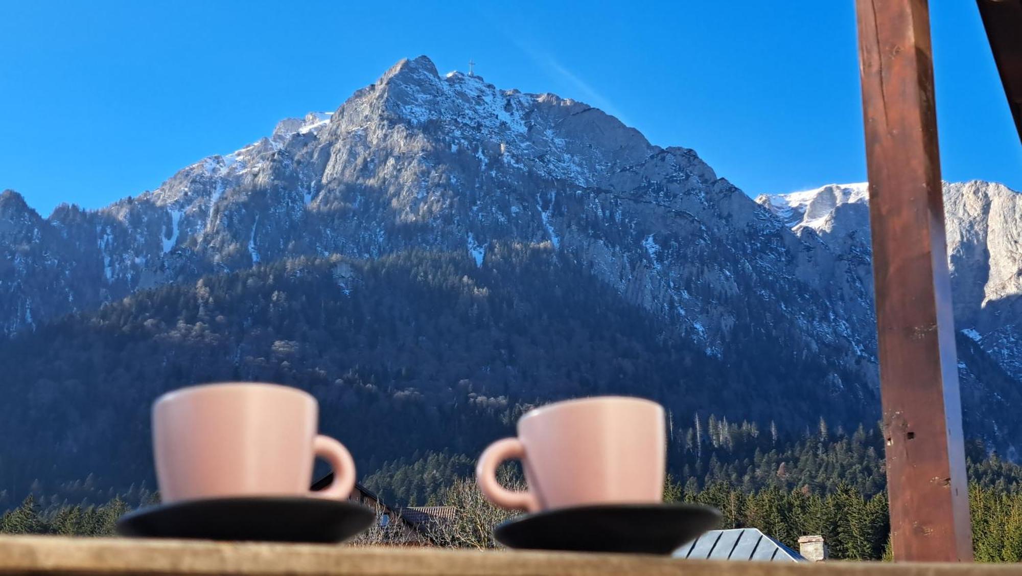PANORAMIC Buşteni Exterior foto