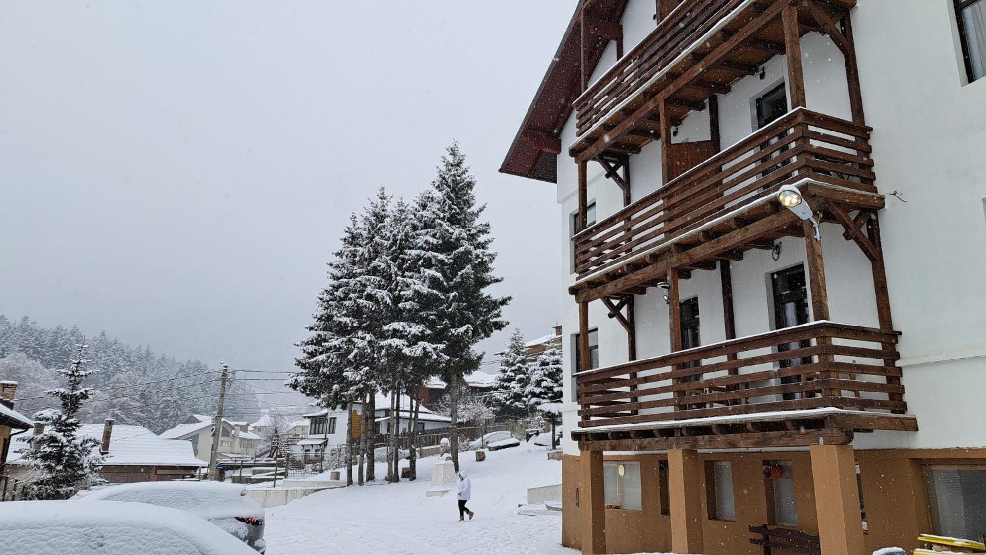 PANORAMIC Buşteni Exterior foto